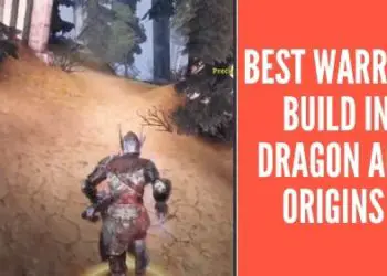 Dragon Age Origins Morrigan Build