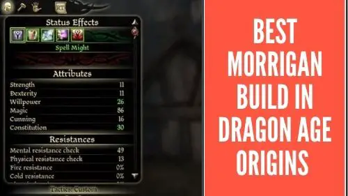 Dragon Age Origins Mage Build